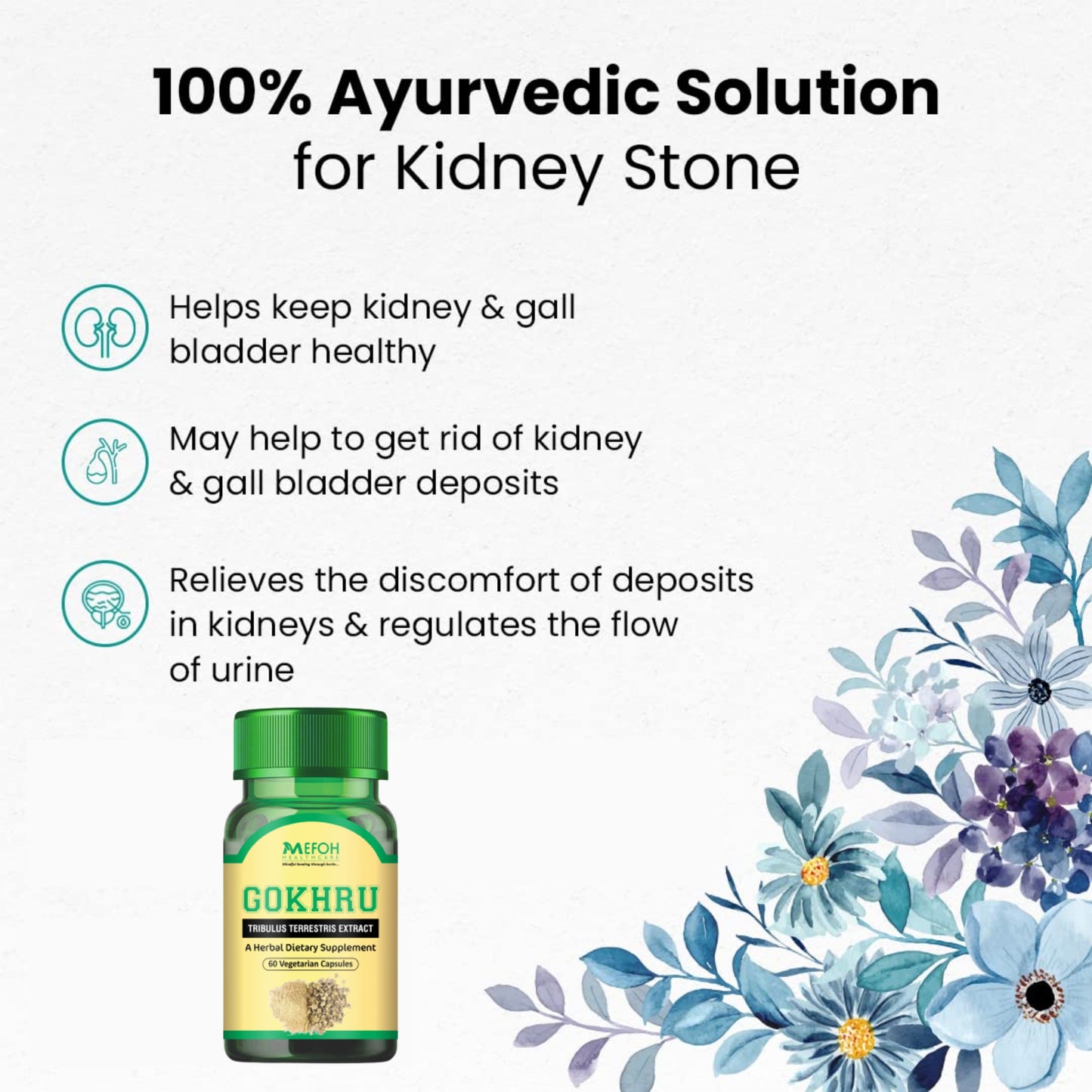 Mefoh Gokhru Capsules – Natural Support for Urinary & Kidney Health