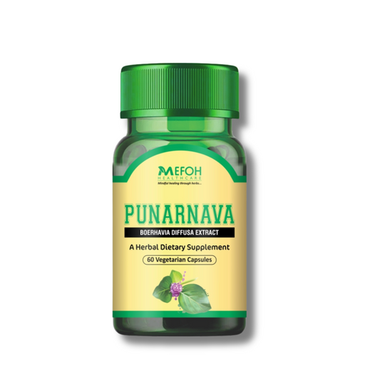 Mefoh Punarvana Capsules – Rejuvenate Your Body & Restore Vitality
